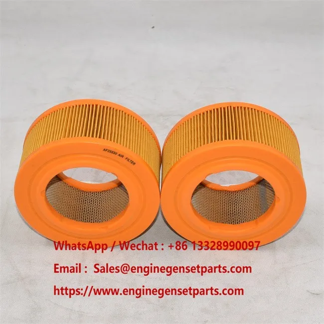 AF25530 Air Filter manufacturers